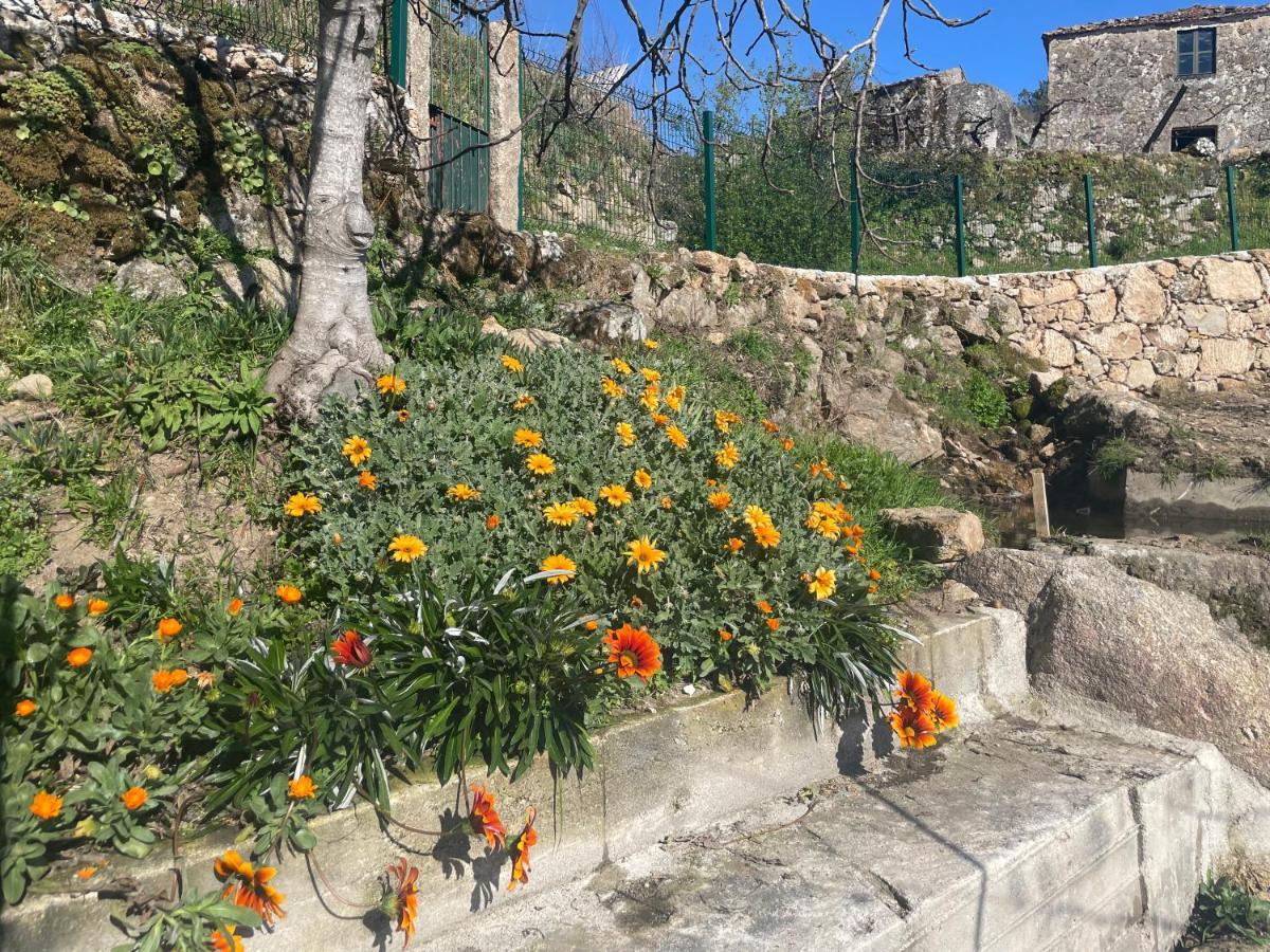 Quintinha De Pinouco Villa Resende Kültér fotó