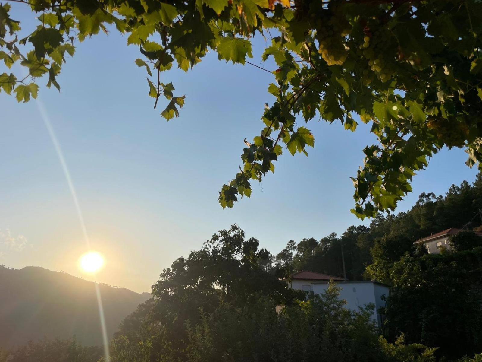 Quintinha De Pinouco Villa Resende Kültér fotó